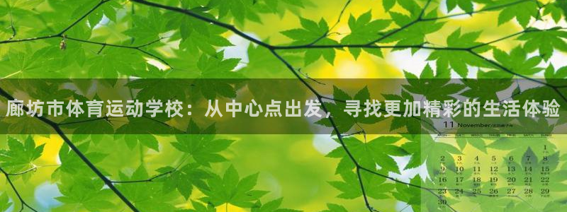 猎豹体育姜鑫：廊坊市体育运动学校：从中心点出发，寻找更加精彩的生活体验