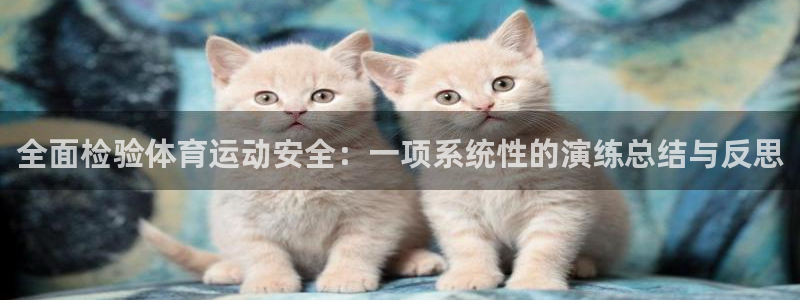 猎豹体育app下载安装：全面检验体育运动安全：一项系统性的演练总结与反思