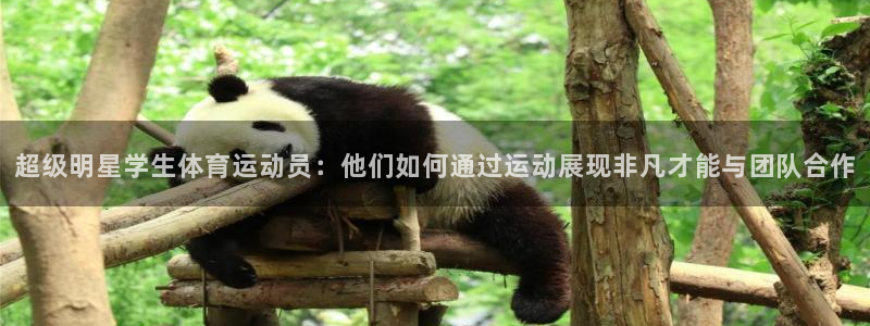 猎豹体育app下载安装：超级明星学生体育运动员：他们如何通过运动展现非凡才能与团队合作