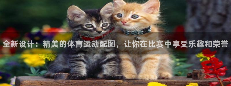 猎豹体育app手机版：全新设计：精美的体育运动配图，让你在比赛中享受乐趣和荣誉