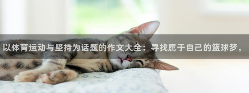 猎豹体育app下载安装：以体育运动与坚持为话题的作文大全：寻找属于自己的篮球梦。