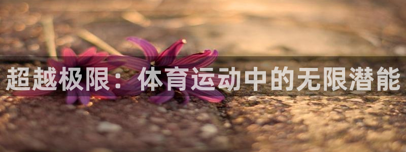 猎豹体育俱乐部：超越极限：体育运动中的无限潜能